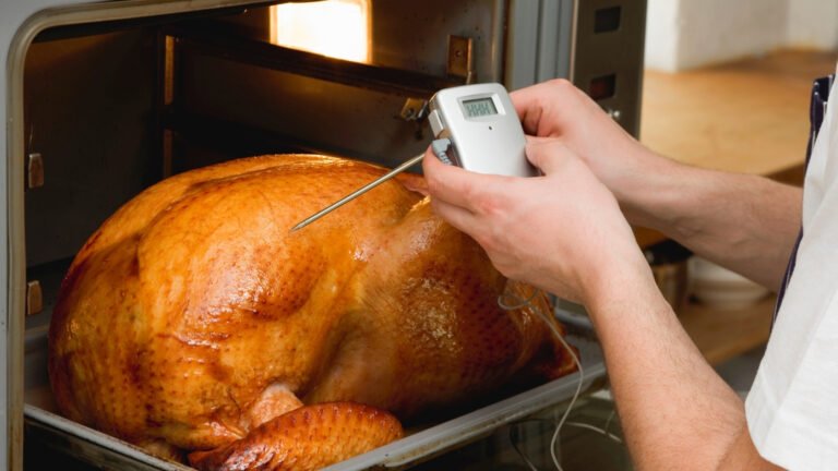 5 Best Meat Thermometers